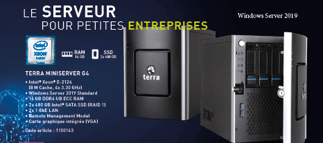 intel core terra unité centrale windows sever 2019 ram ssd miniserver entreprises petite g4